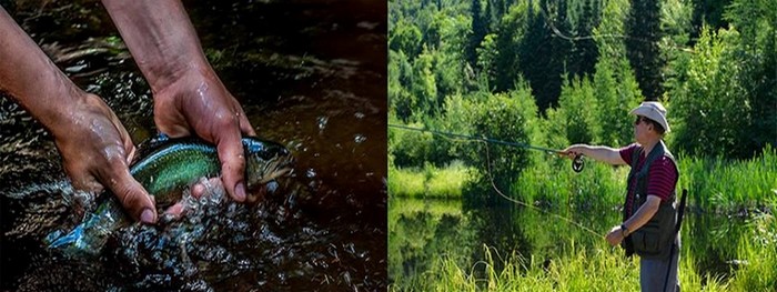 peche laurentides